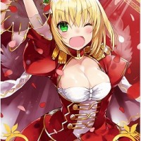 新★5礼装「誉れを此処に」がぐだお＋毎ターン星獲得で強すぎる　限凸で宝具・クリティカル威力ともに20％UP＆スター4個獲得！