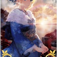 ファースト・サンライズ限凸はNPチャージ50％にBuster20％アップ！できれば凸したい性能だけど未凸でも使うわ