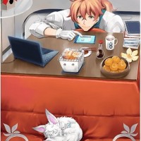 2016年の平穏はイラストは癒しだけど性能が残念…デメリットない限凸そして船は征くの方がマシｗｗｗ